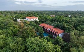 Mango Hill Auroville Pondicherry